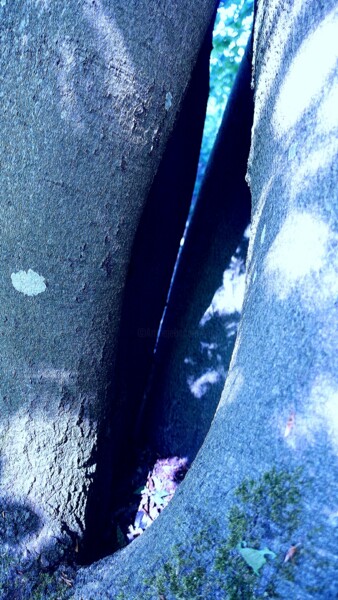 Photography titled "Au creux des arbres…" by Janie B., Original Artwork, Manipulated Photography