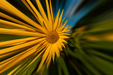 Photographie intitulée "Plexus solaire" par Nicolas Bernié, Œuvre d'art originale