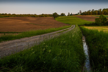 Photographie intitulée "Paysage Alan" par Nicolas Bernié, Œuvre d'art originale