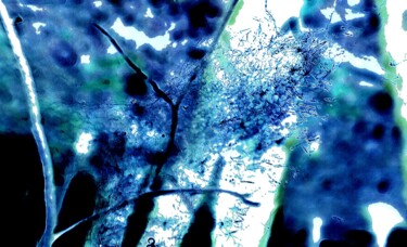 Abstraction végétale bleue. 180508-164342.jpg Photography titled "Abstraction végétal…" by Janie B., Original Artwork