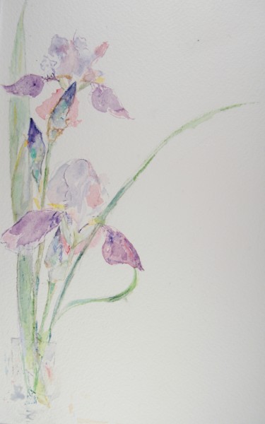 Peinture intitulée "iris bleus et mauves" par Catherine Claude, Œuvre d'art originale, Aquarelle