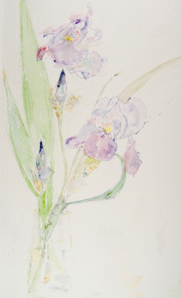 Peinture intitulée "Courbes gracieuses" par Catherine Claude, Œuvre d'art originale, Aquarelle