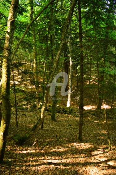 Photographie intitulée "dsc-0054-1.jpg" par Renaud Klumpp, Œuvre d'art originale, Photographie numérique