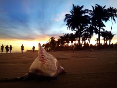 Fotografia intitulada "Jellyfish" por Rafaela Sabino, Obras de arte originais