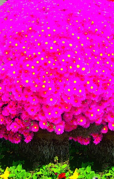 Fotografia intitolato "colore per l'incant…" da Giovanni Primo Greco, Opera d'arte originale, Fotografia digitale