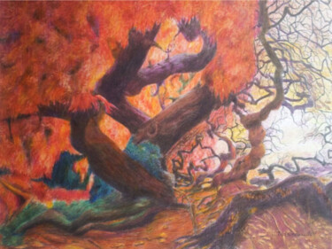 Peinture intitulée "Hêtre tortillard 1." par Jacques Tafforeau, Œuvre d'art originale, Autre