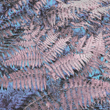 Photographie intitulée "LANDART 03" par Frédéric Didillon, Œuvre d'art originale, Autre