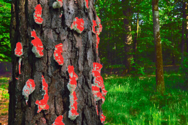 Photographie intitulée "LANDART 09" par Frédéric Didillon, Œuvre d'art originale, Photographie numérique