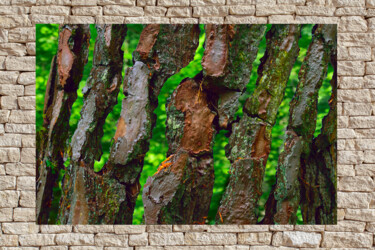 Photographie intitulée "LANDART 10" par Frédéric Didillon, Œuvre d'art originale, Photographie numérique