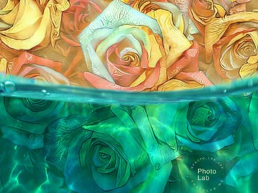Un bouquet de roses