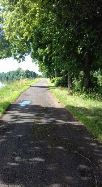 Photographie intitulée "chemin-de-hallage à…" par Audrey Segura, Œuvre d'art originale