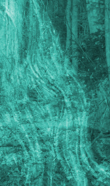 Digitale Kunst mit dem Titel "Wald" von Julianna Dávid, Original-Kunstwerk, Andere