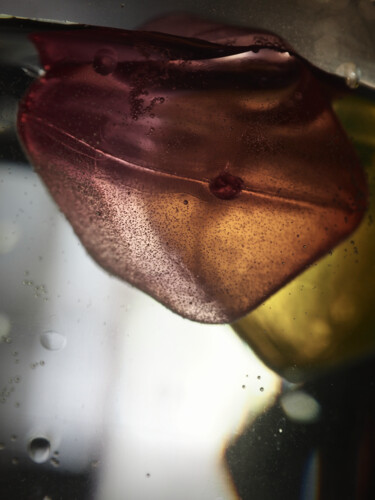 Photographie intitulée "Sous l'eau.jpg" par Florence Pouget-Landrieu, Œuvre d'art originale