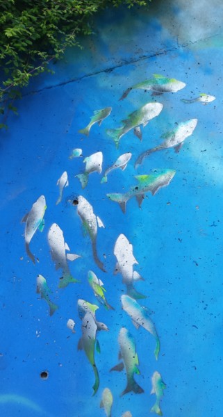 绘画 标题为“banc de poisson” 由Pasthete // Salima Woestyn, 原创艺术品, 喷枪