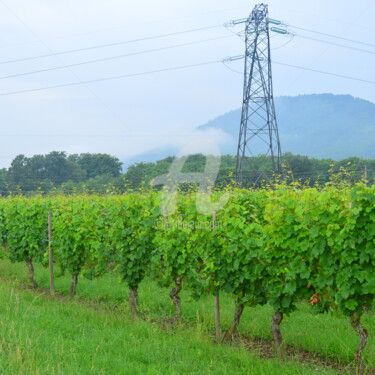 Photographie intitulée "Route des vins" par Renaud Klumpp, Œuvre d'art originale