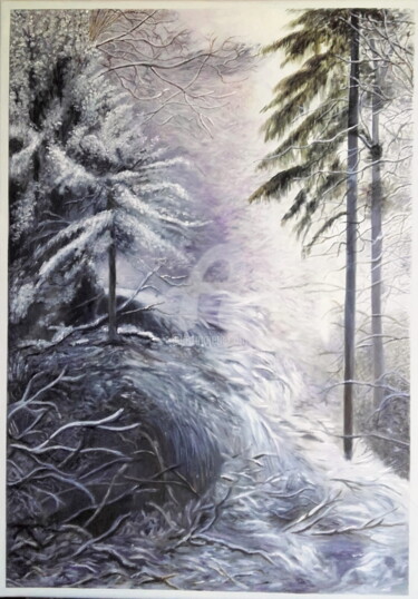 Beauté de l'Hiver