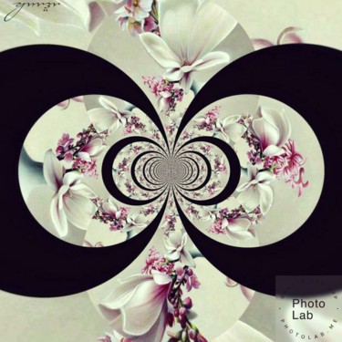 Photo transformer 16