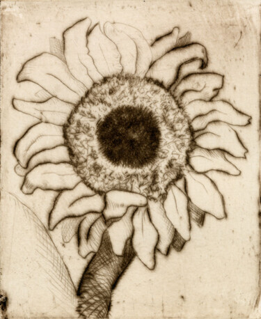 印花与版画 标题为“Girasole” 由Giosi Costan, 原创艺术品, 雕刻