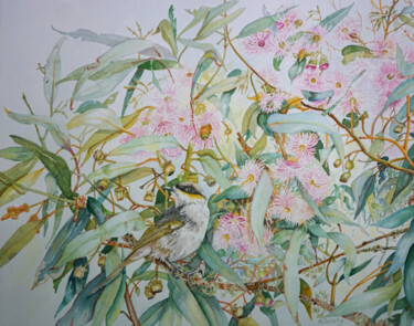 绘画 标题为“Singing Honeyeater…” 由Scally Art, 原创艺术品, 水彩