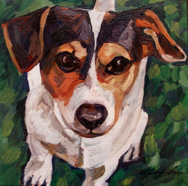 Jack Russell terrier