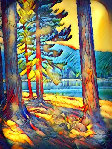 Le forêt magique 2