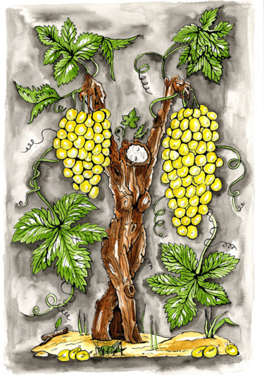 Dessin intitulée "Les deux grappes" par Florence H, Œuvre d'art originale, Aquarelle Monté sur Carton
