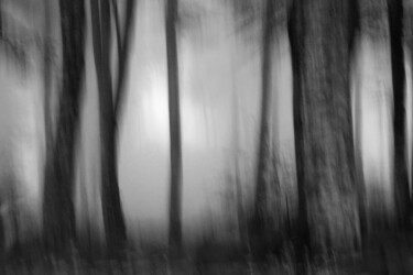 Photography titled "Un Bougé...........…" by Philippe Berthier, Original Artwork, Digital Photography