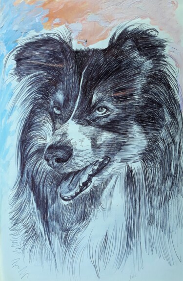 图画 标题为“The Dog Lassie” 由Berthold Von Kamptz, 原创艺术品, 圆珠笔
