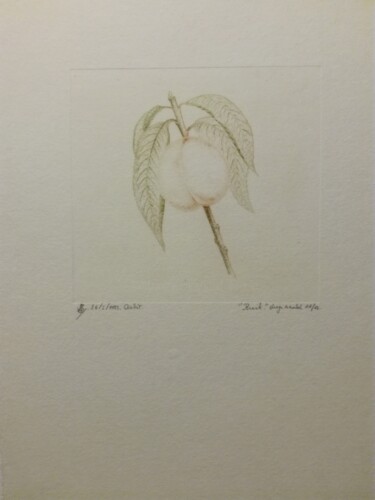印花与版画 标题为“perzik” 由Lucienne Van Sande, 原创艺术品, 雕刻