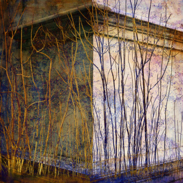 ENVAHISSEMENT Photographie intitulée "ENVAHISSEMENT" par Blec, Œuvre d'art originale, Photographie numérique