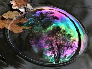 Photographie intitulée "Embrasement" par Patrick Vincent, Œuvre d'art originale, Photographie non manipulée Monté sur Alumin…