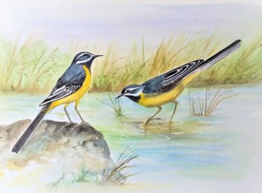 bergeronnettes des ruisseaux - aquarelle originale signée Painting titled "bergeronnettes des…" by Patricia Giroldini Hyvernat, Original Artwork, Watercolor