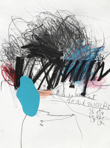 Dessin intitulée "ABSOLUTELY INADMISS…" par Luc Pierre, Œuvre d'art originale, Fusain