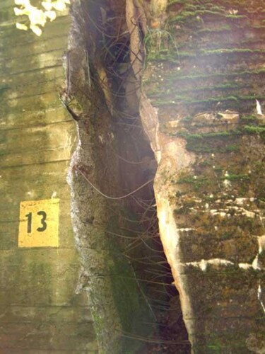 Fotografia zatytułowany „Mazury 6” autorstwa Małgorzata Krasucka, Oryginalna praca