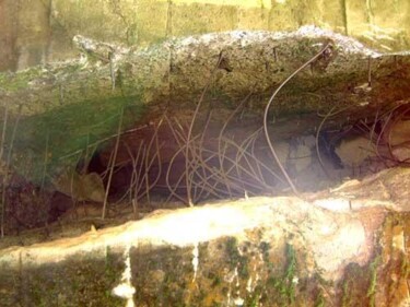 Fotografia zatytułowany „Mazury 7” autorstwa Małgorzata Krasucka, Oryginalna praca