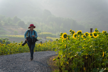 Photography titled "Sunflower.jpg" by Michael Photography, Original Artwork