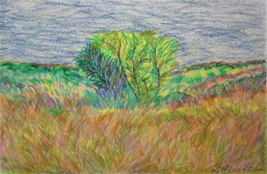 Painting titled "PRAIRIE GRASS" by David Cade, Original Artwork, Pastel