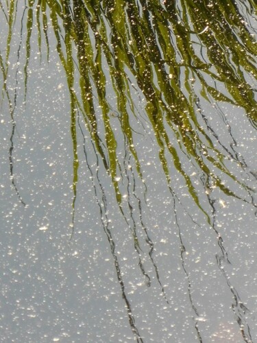 Photographie intitulée "Lac Lispach.     ds…" par Janie B., Œuvre d'art originale
