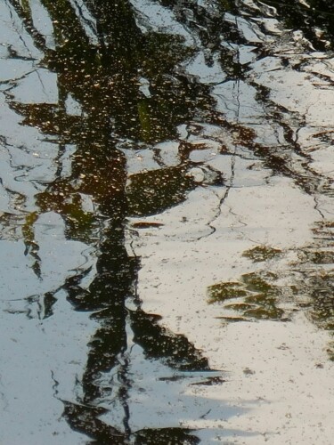 Photographie intitulée "Lispach, Reflets.…" par Janie B., Œuvre d'art originale