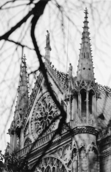 Notre-Dame de Paris - facade Seine (encadré) 제목이 "Notre-Dame de Paris…"인 사진 Carine Sarcie로, 원작, 아날로그 사진 기타 단단한 패널에 장착됨