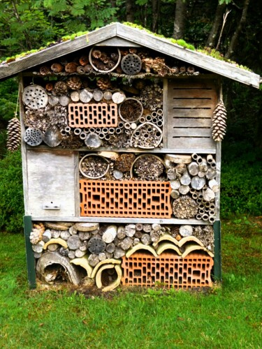 "Maison des insectes…" başlıklı Fotoğraf Janie B. tarafından, Orijinal sanat