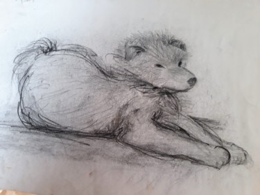 Dessin intitulée "Rex" par Myriam Gylon, Œuvre d'art originale, Crayon