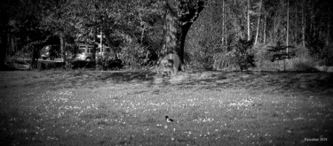 Arts numériques intitulée "Au parc" par Pascaline, Œuvre d'art originale, Autre
