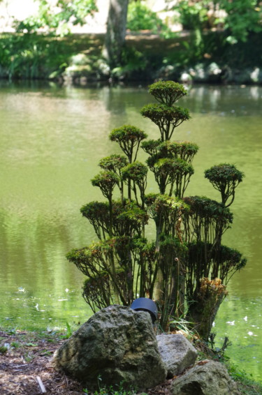 Photographie intitulée "Oriental" par Muriel Besson-Braem, Œuvre d'art originale