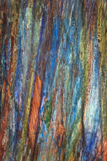 Photographie intitulée "hommage bleu.jpg" par Elisabeth Laplante, Œuvre d'art originale, Photographie numérique