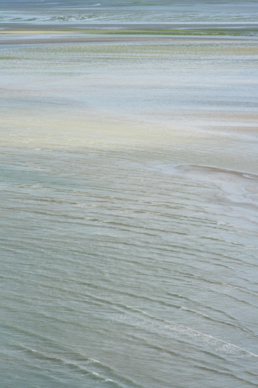 marée verte.jpg 「marée verte.jpg」というタイトルの写真撮影 Elisabeth Laplanteによって, オリジナルのアートワーク, デジタル