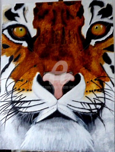 제목이 "tigre du Bengale"인 미술작품 Lydie Frances-Ingles (dylie)로, 원작, 기름