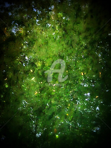 Arts numériques intitulée "Chlorophyle" par Pascaline, Œuvre d'art originale, Peinture numérique