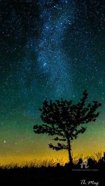 L'arbre qui parle aux étoiles Photographie intitulée "L'arbre qui parle a…" par Thierry Magliulo (Th.Mag), Œuvre d'art originale
