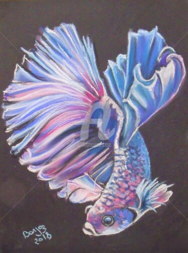 Peinture intitulée "Poisson Combattant" par Valérie Barrett, Œuvre d'art originale, Pastel